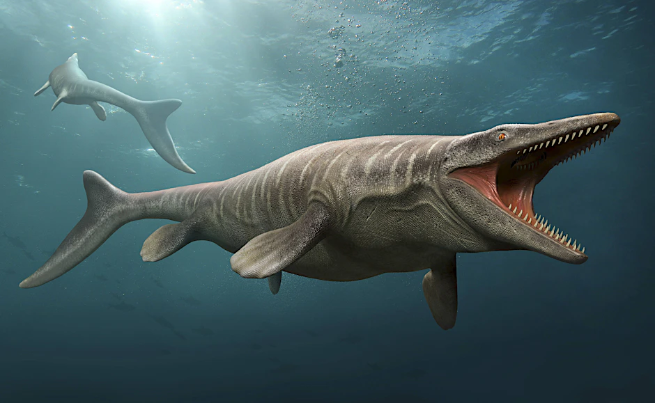 Darstellung eines Tylosaurus aus dem Jahr 2021