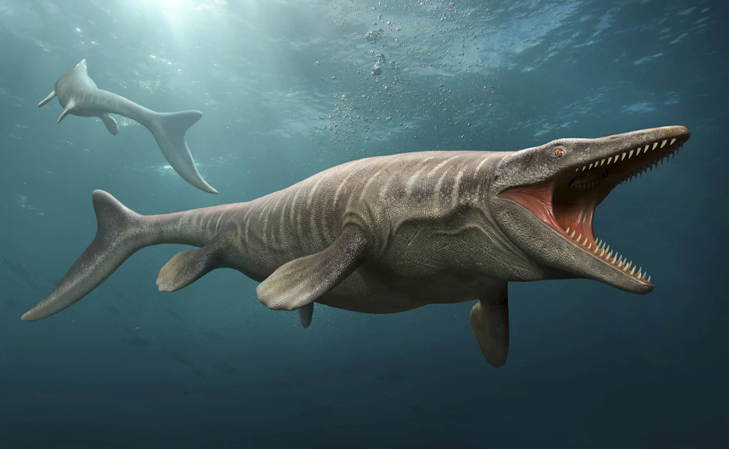 T. rex des Meeres? Forscher identifizieren riesigen neuen Mosasaurier Tylosaurus rex