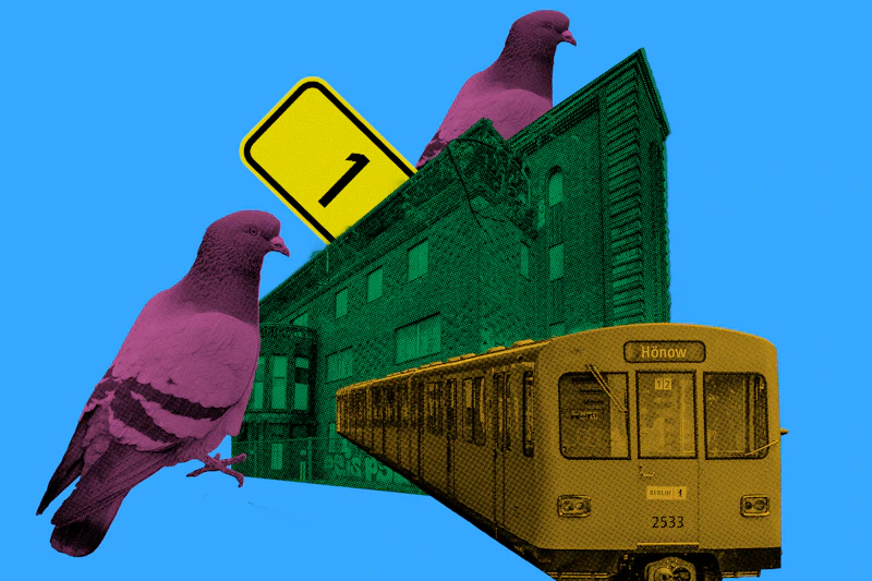 Der tägliche Wahnsinn in Berlin: Berichte aus einer kaputten Stadt