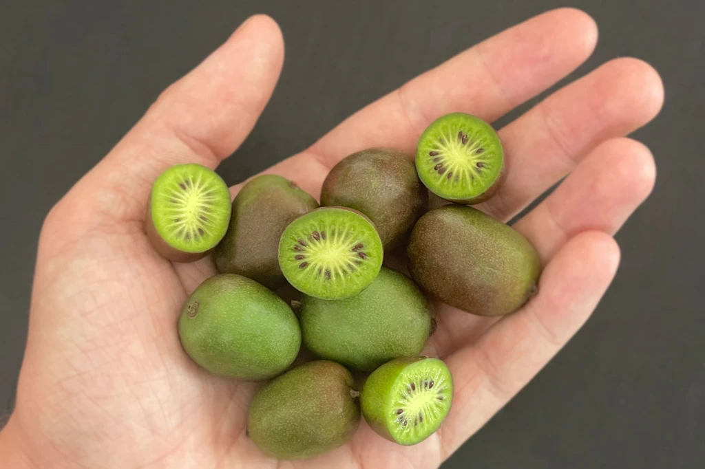 Kiwibeeren schmecken wie eine Mischung aus Goldkiwi und Stachelbeere.