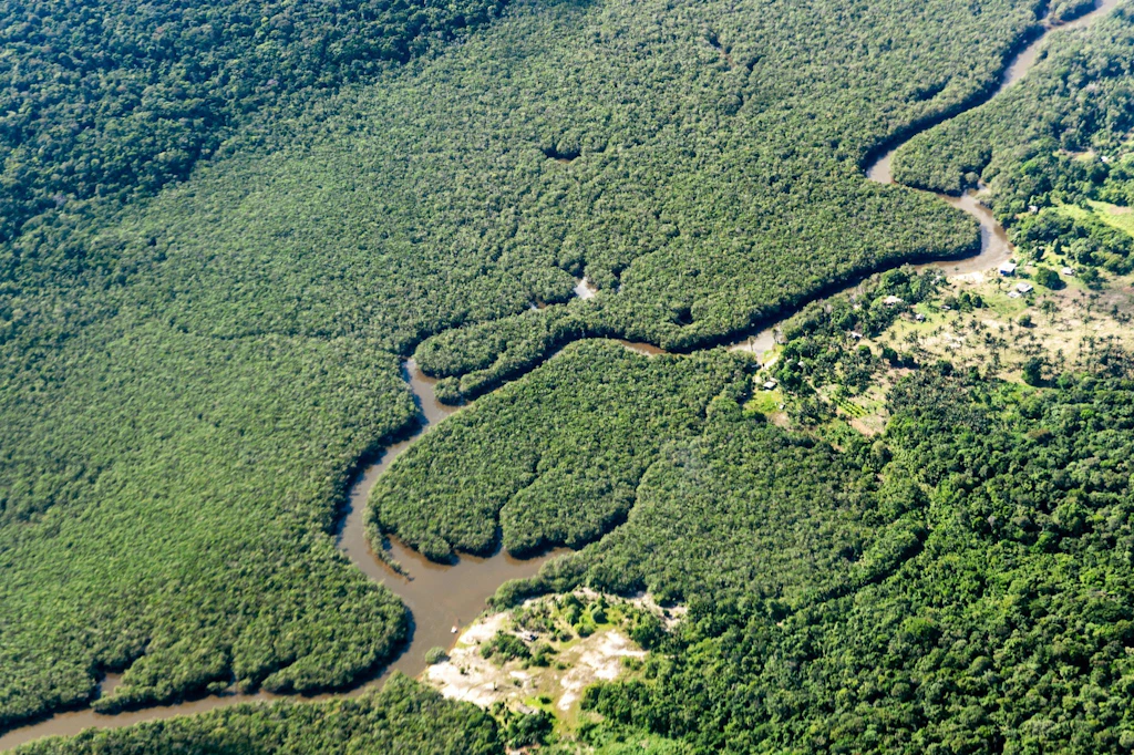 „Neuer Goldrausch“: Greenpeace deckt 3,88-Milliarden-Dollar-Betrug im Amazonas auf