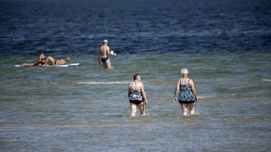 KI soll Badegäste an der Ostsee früher vor Vibrionen warnen