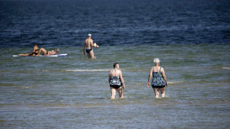 KI soll Badegäste an der Ostsee früher vor Vibrionen warnen