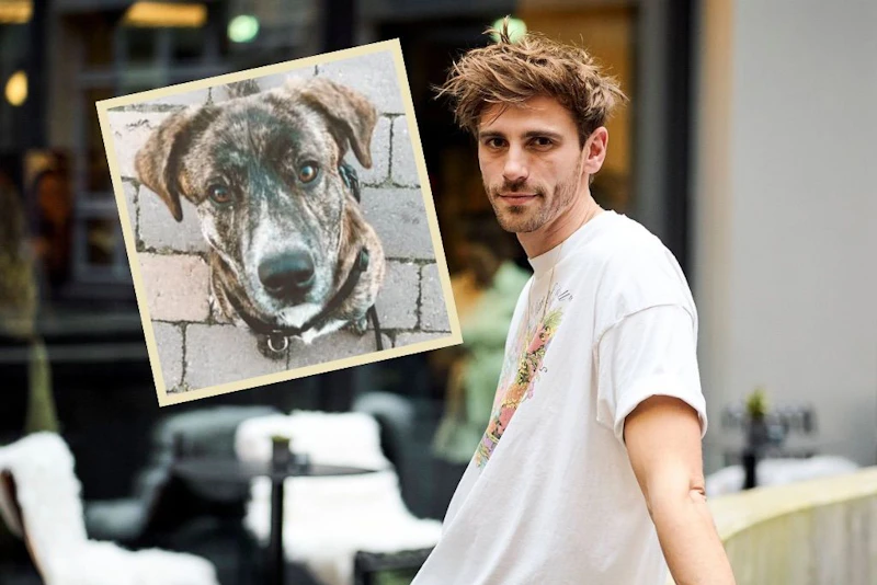 Nach der Trennung: Hat Fynn Kliemann kein Interesse mehr an seinem Hund?