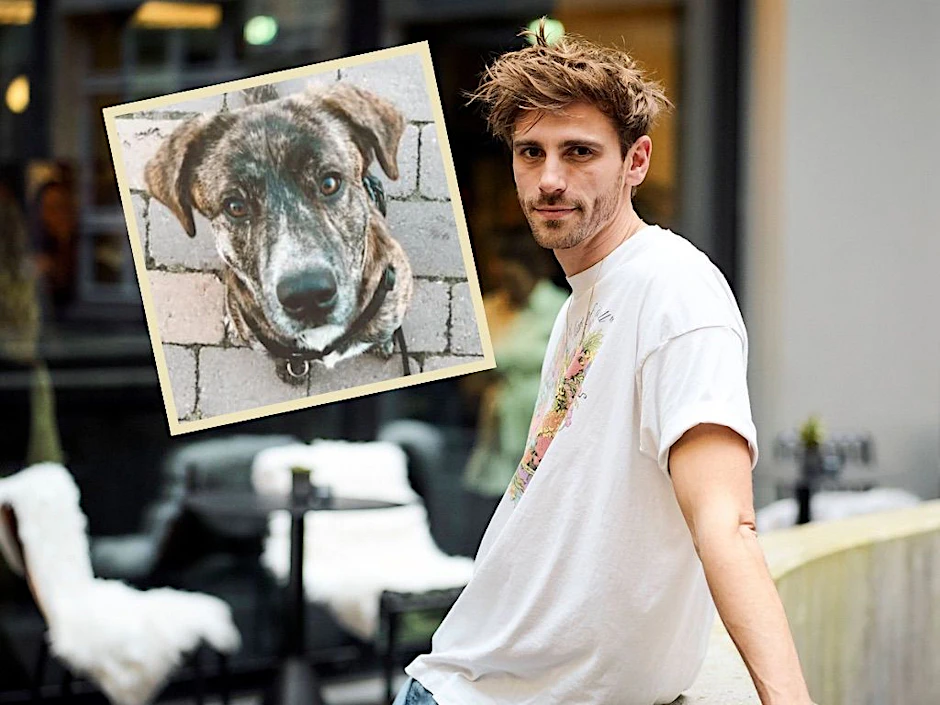 Fynn Kliemann hat mit seiner Ex den Hund Giuseppe. Vernachlässigt er ihn jetzt?