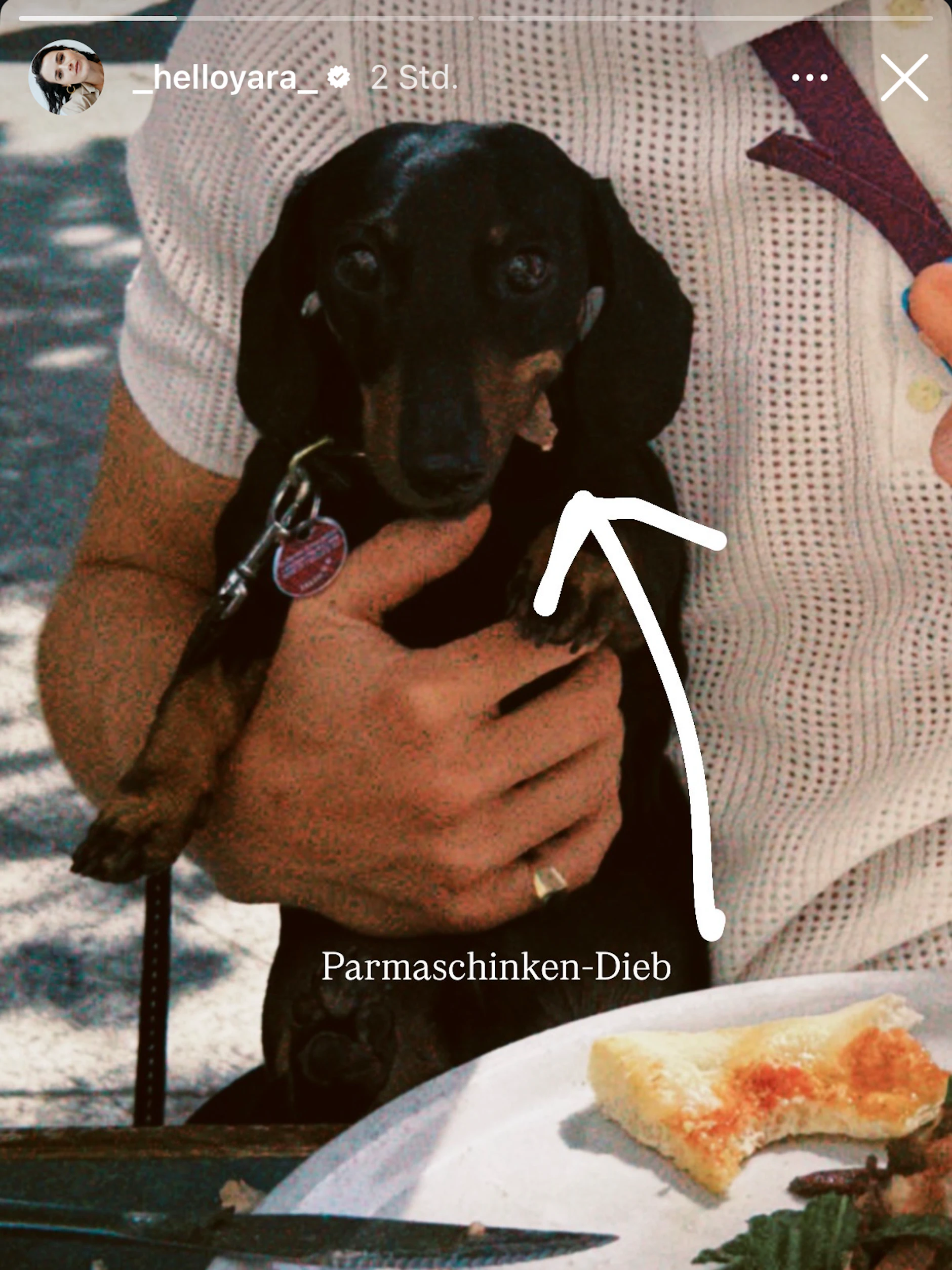 Yara postet auf Instagram ein Foto von Hündchen Krümel und Fynn beim Essen.