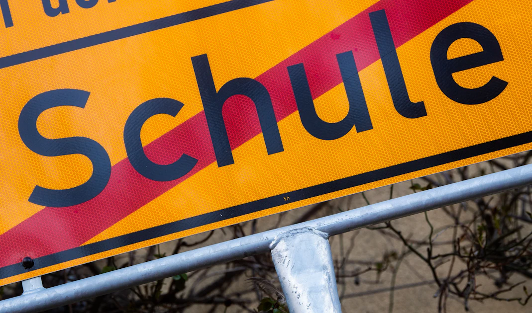 Sachsen-Anhalt und Thüringen: AfD will Schulpflicht abschaffen