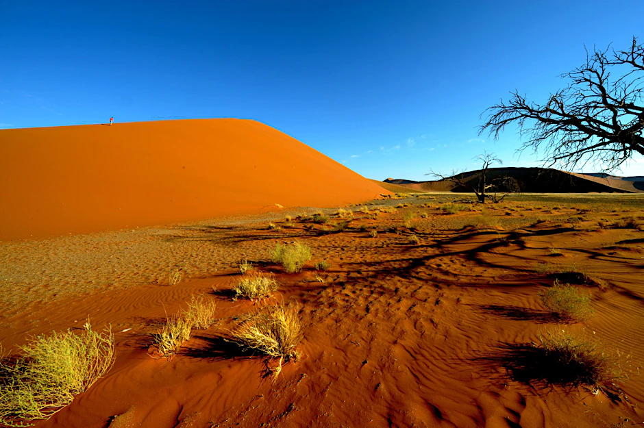 Die Wüstenregion Sossusvlei in Namibia zählt zu den bekanntesten Touristenzielen des Landes. Dorthin war die Unglücksmaschine mit vier deutschen Insassen unterwegs.