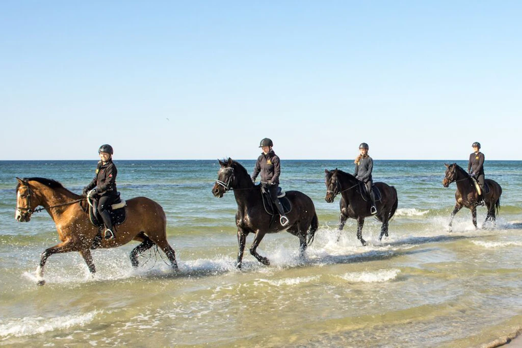 Reiten an der Ostsee – Selbstversuch für eine Nichtreiterin