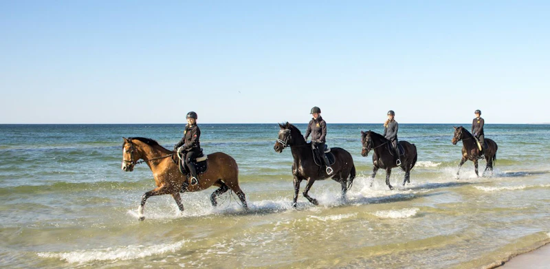 Reiten an der Ostsee – Selbstversuch für eine Nichtreiterin