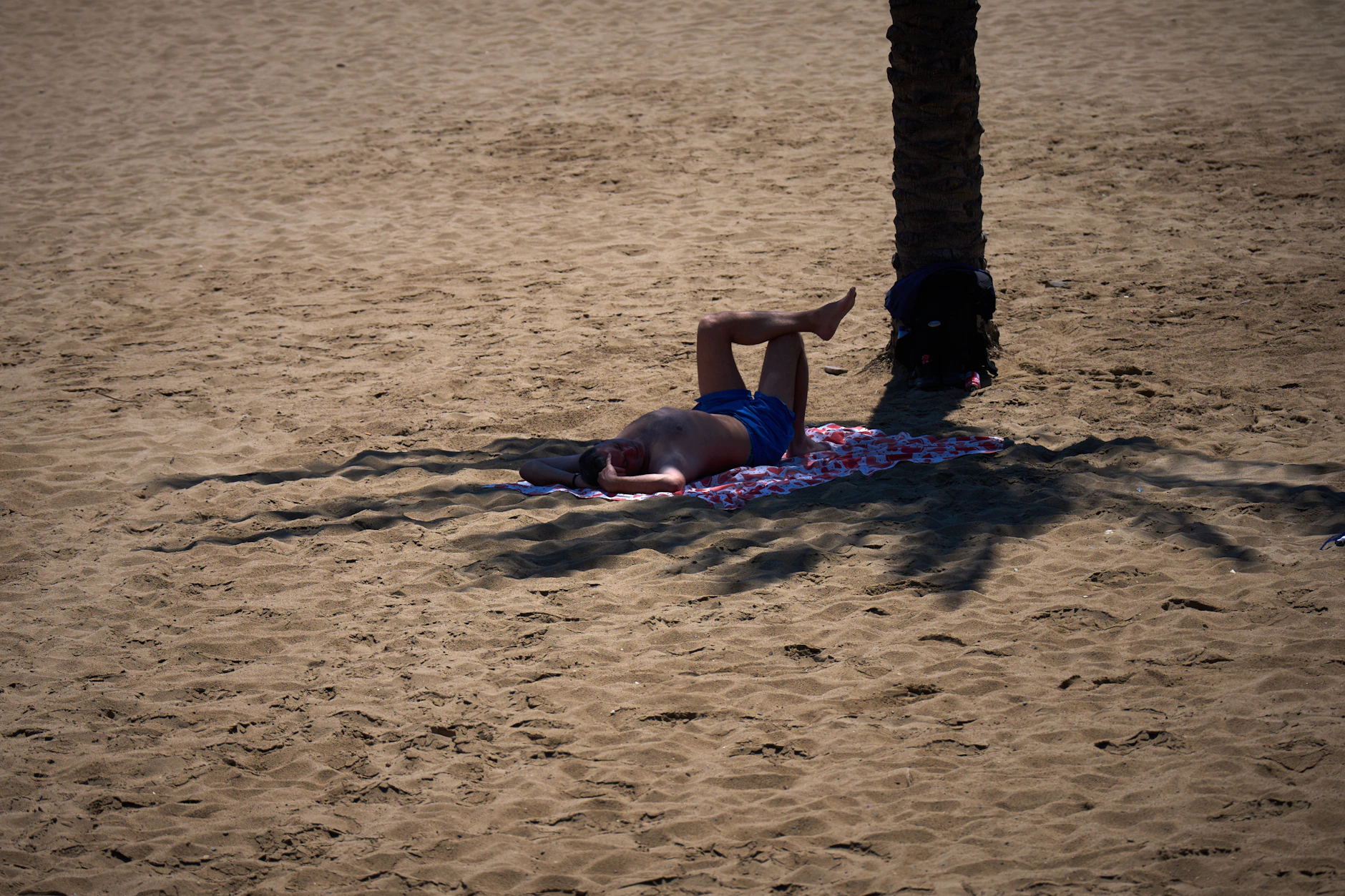 Ein Mann sucht Schutz im Schatten einer Palme in Barcelona.