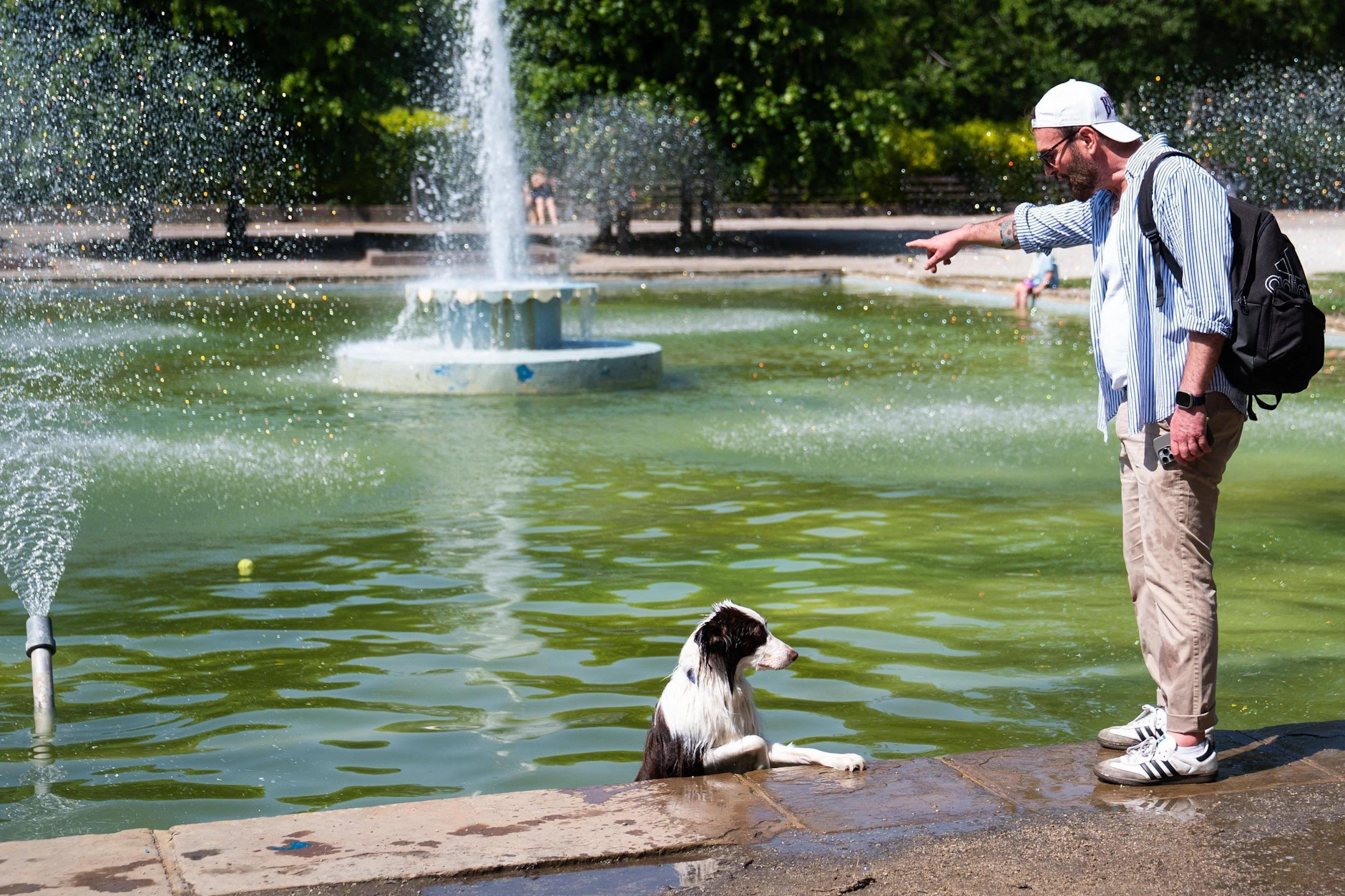 Während der großen Hitze sind alle besser dran, die sich einen Platz für eine Abkühlung verschaffen. Hier erfrischt sich ein Hund in einem Brunnen.