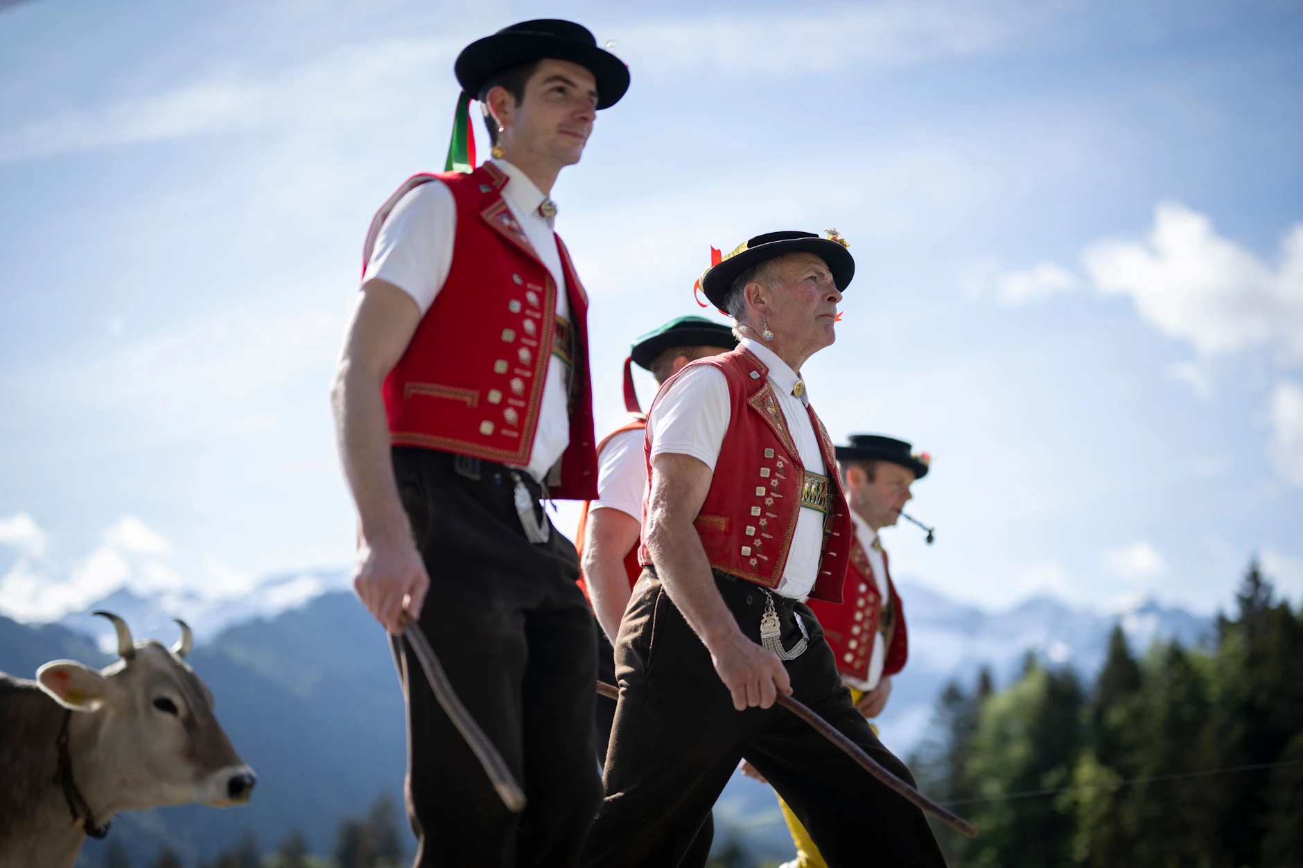 Männer beim Almauftrieb in der Schweiz. Am Sonntag wird in der Alpenrepulik über eine Einwohnerobergrenze abgestimmt.