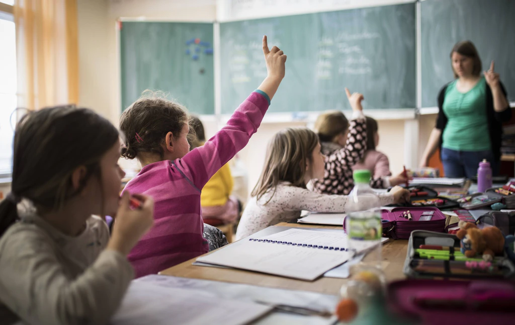 Vom Land der Dichter zur Nation der Mindeststandards: Der Irrweg der Niveauabsenkung in Schulen