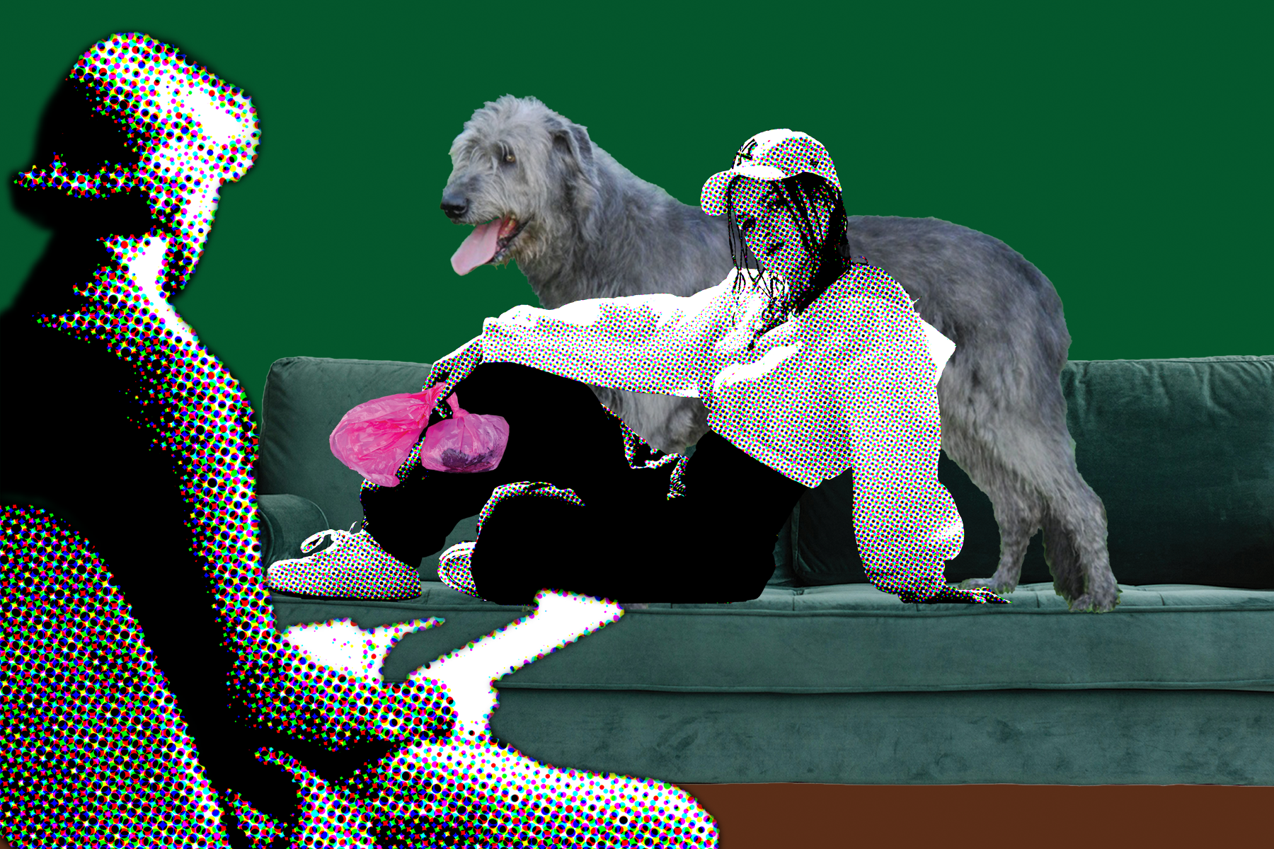 Das absurde Schauspiel in Berliner Hundeparks: Haben wir den Verstand verloren?