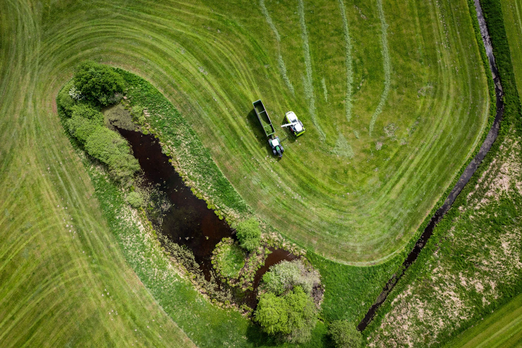 Wem gehört die Landwirschaft? Über diese Frage wird in Ostdeutschland zunehmend gestritten.