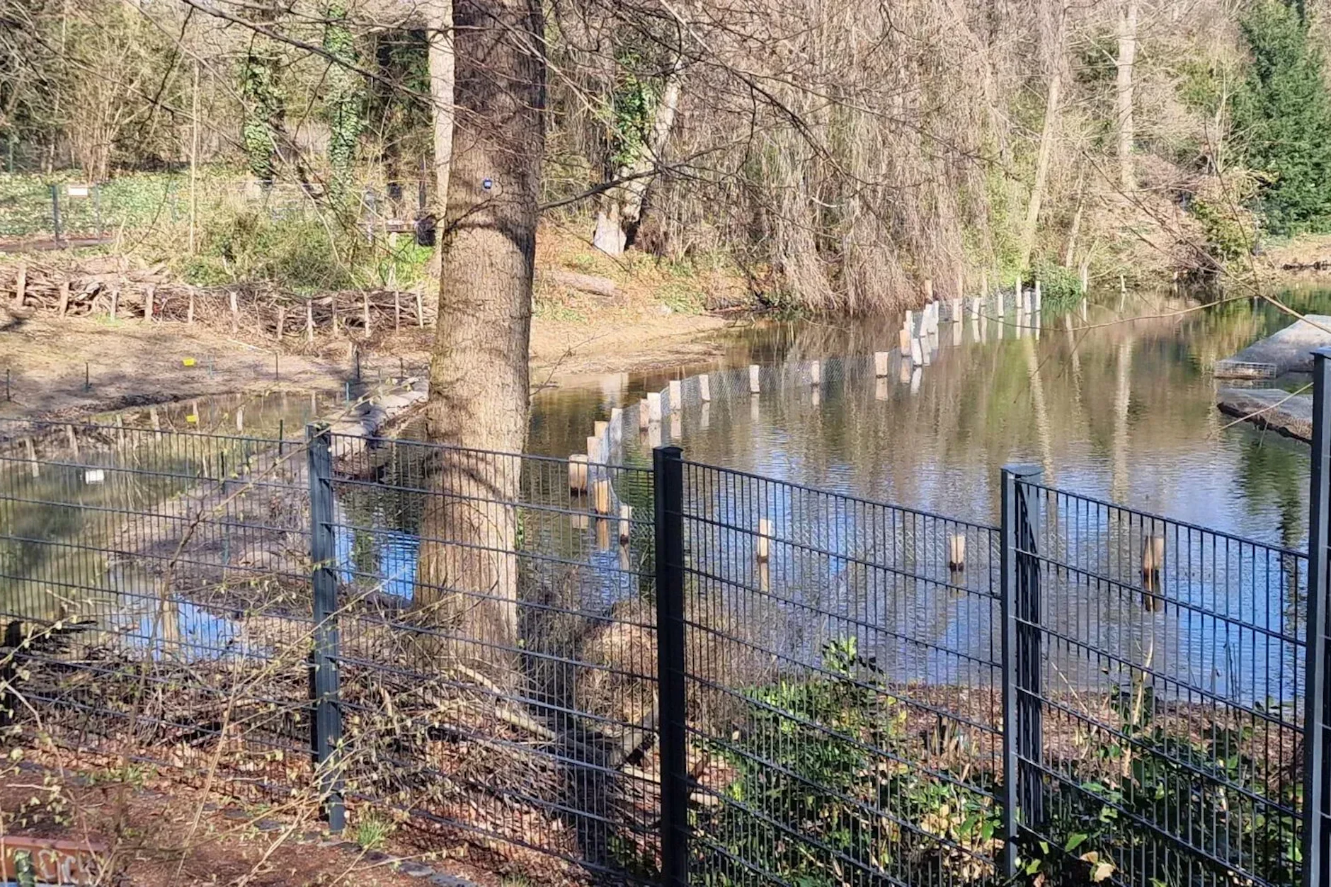 Dieser Zaun versperrt den Zugang zum Plözensee.