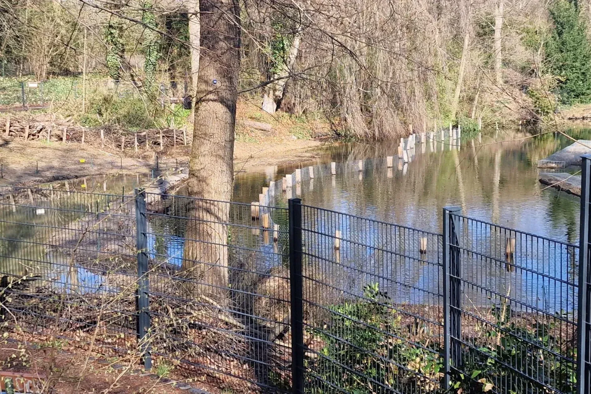 Nächster See in Berlin mit Zaun abgesperrt