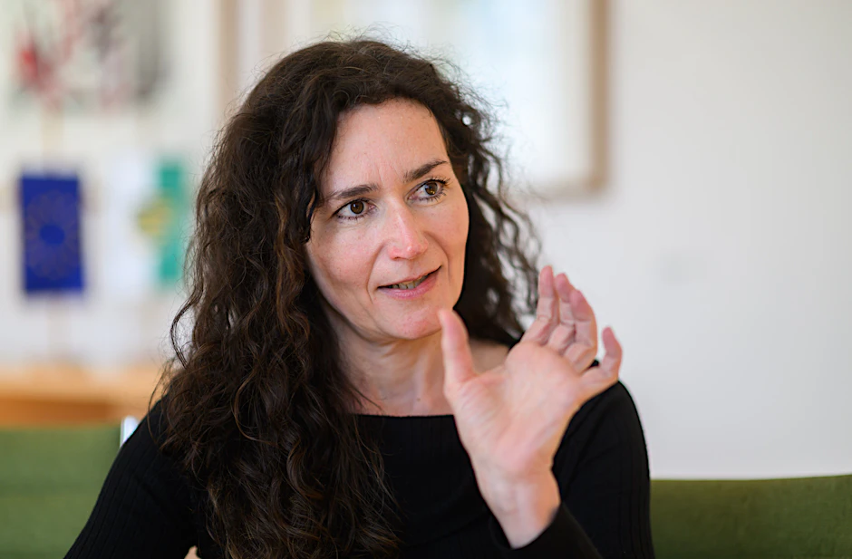 Politikerbeleidigung: Geiert will den Straftatbestand abschaffen.