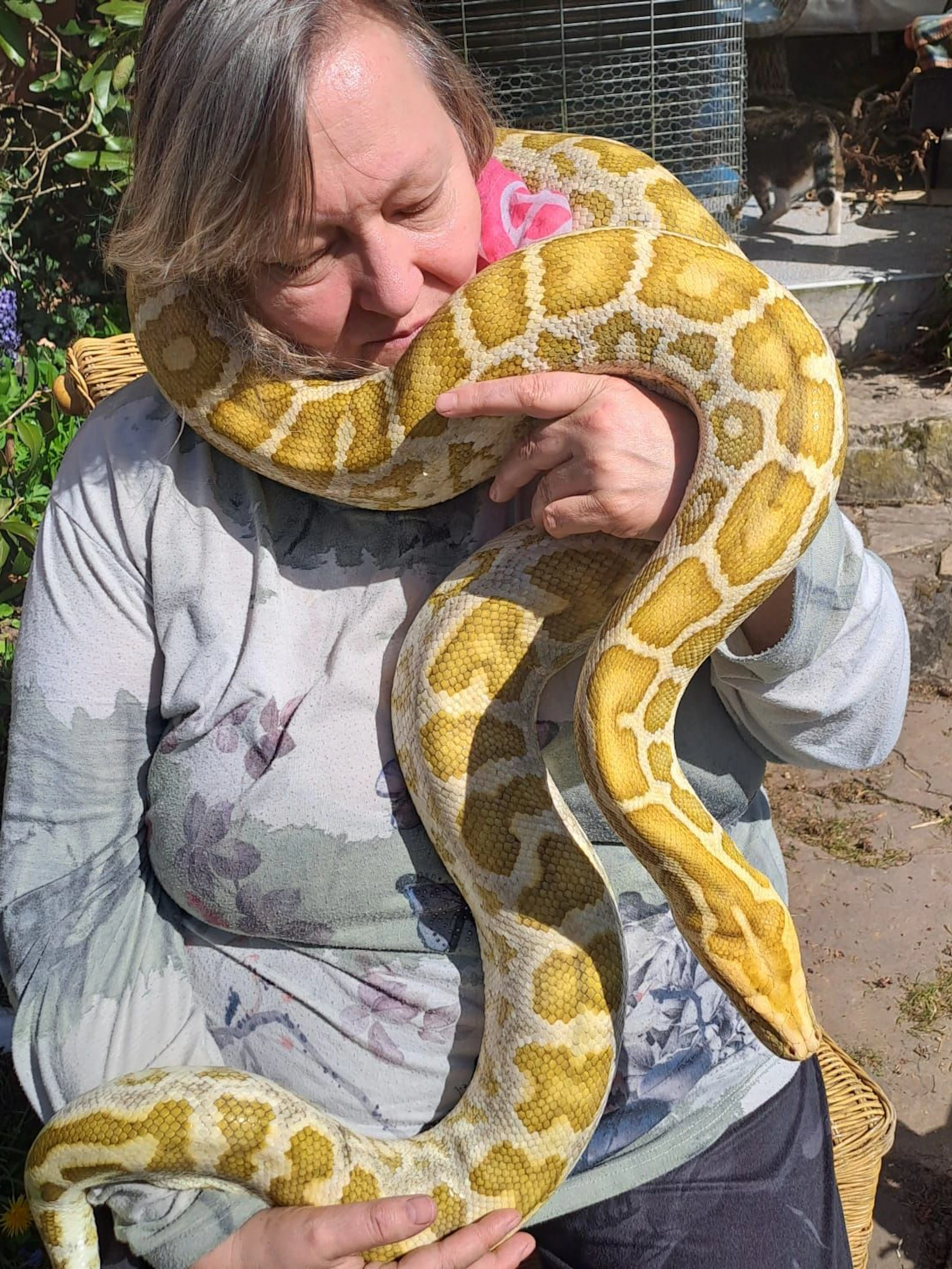 Gabi Decker (59) mit einer Schlange. Die Reptilien sind ihr ans Herz gewachsen, doch im vergangenen Jahr lösten die Behörden plötzlich ihr kleines Tier-Paradies auf.