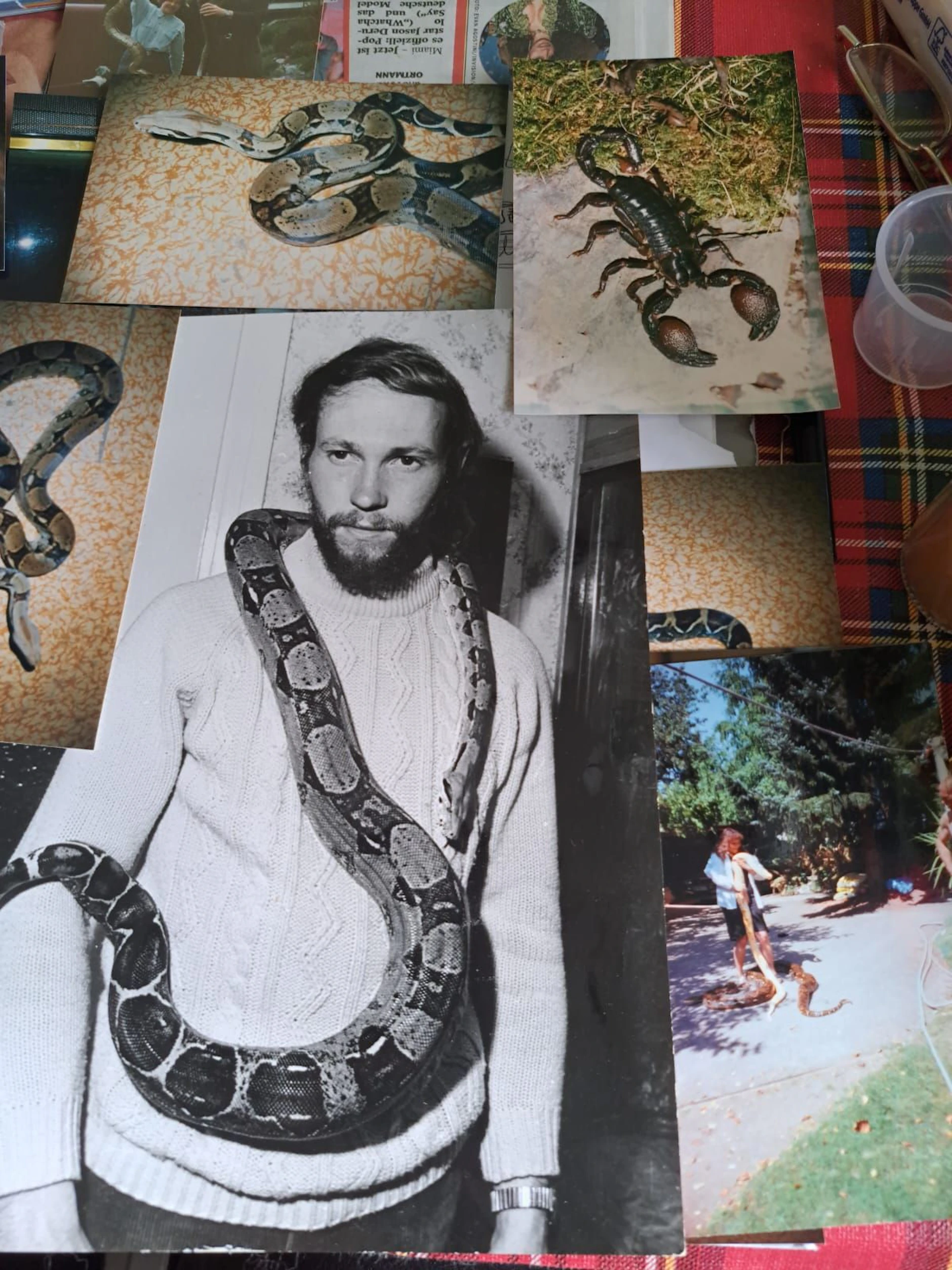 Schon zu DDR-Zeiten baute Peter Eckardt (75) im Garten Unterkünftige für Reptilien. Heute sind von der Zeit nichts als Erinnerungen übrig.