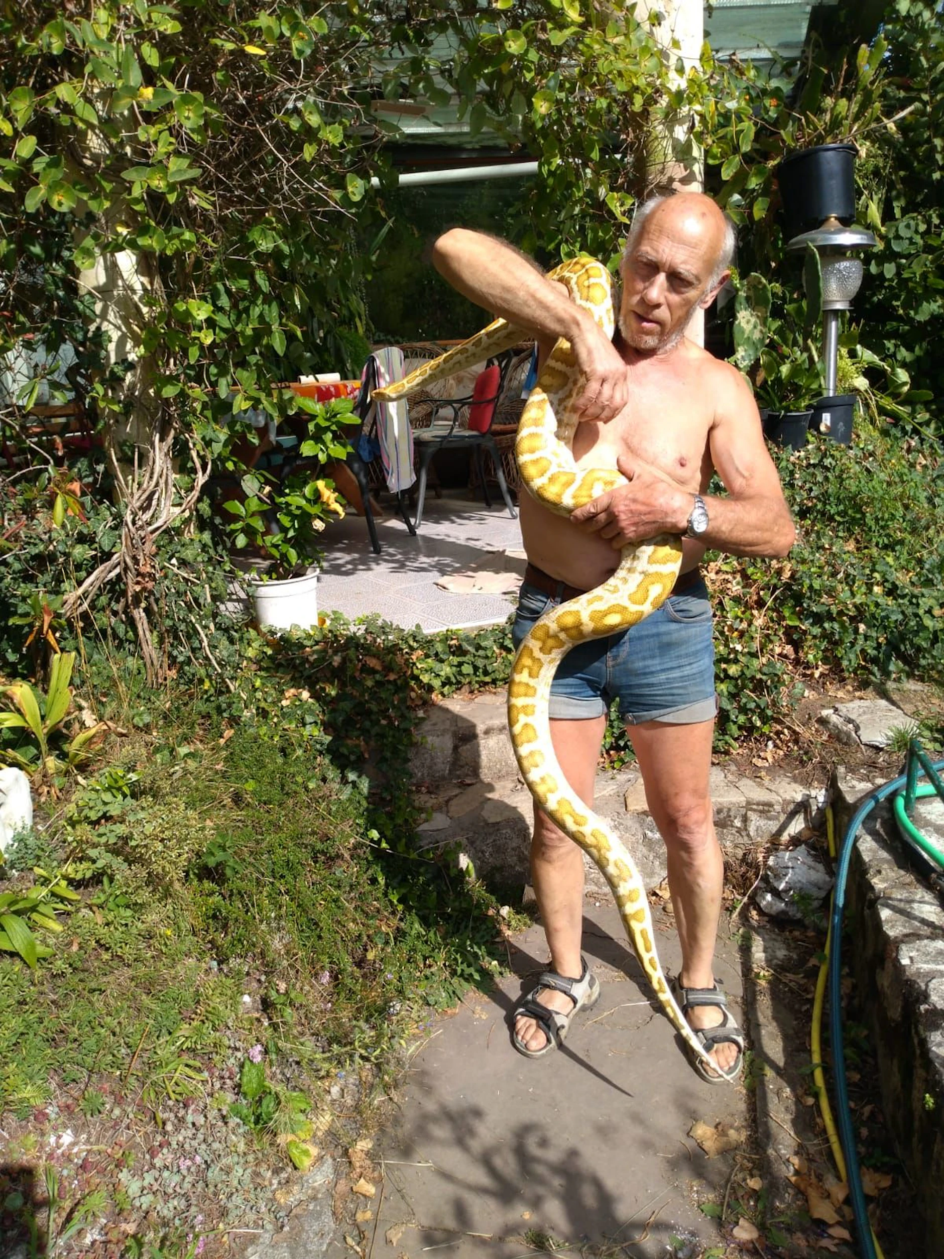 Durch das Eingreifen der Behörden musste sich Peter Eckardt (75) im vergangenen Jahr von seinem großen Traum verabschieden. Schon zu DDR-Zeiten gab er Reptilien ein Zuhause.