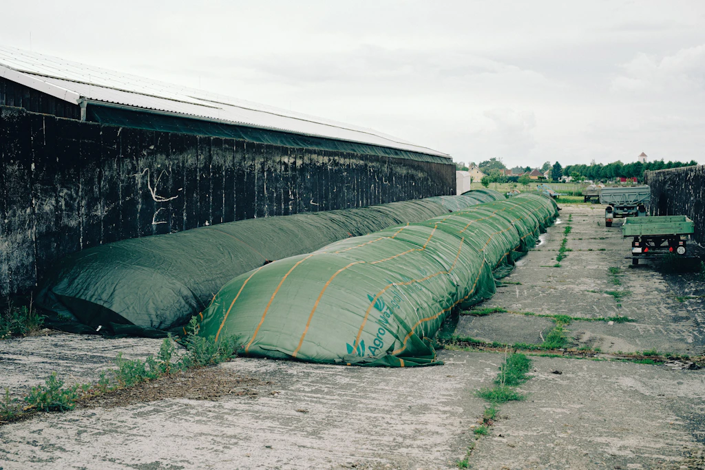 Schlauchsilos wie dieser sind deutlich günstiger als herkömmliche Silos: Budissa Bag exportiert sie in 35 Länder.