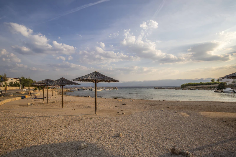 Kroatien-Urlaub: Zecken-Alarm auf Ferieninsel Vir