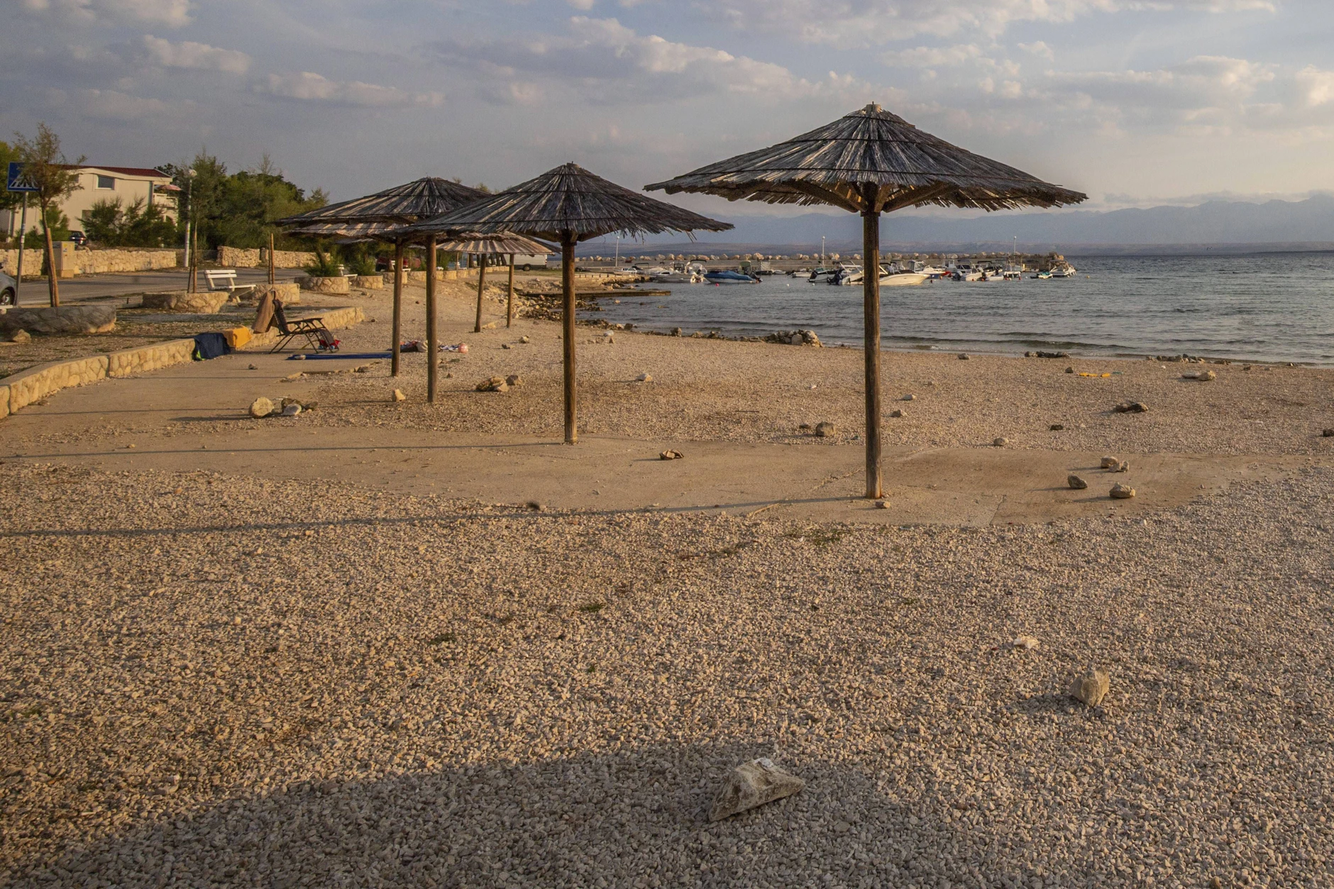 Auf der Insel Vir in der Nähe von Zadar in Kroatien gibt es in diesem Jahr besonders viele Zecken.