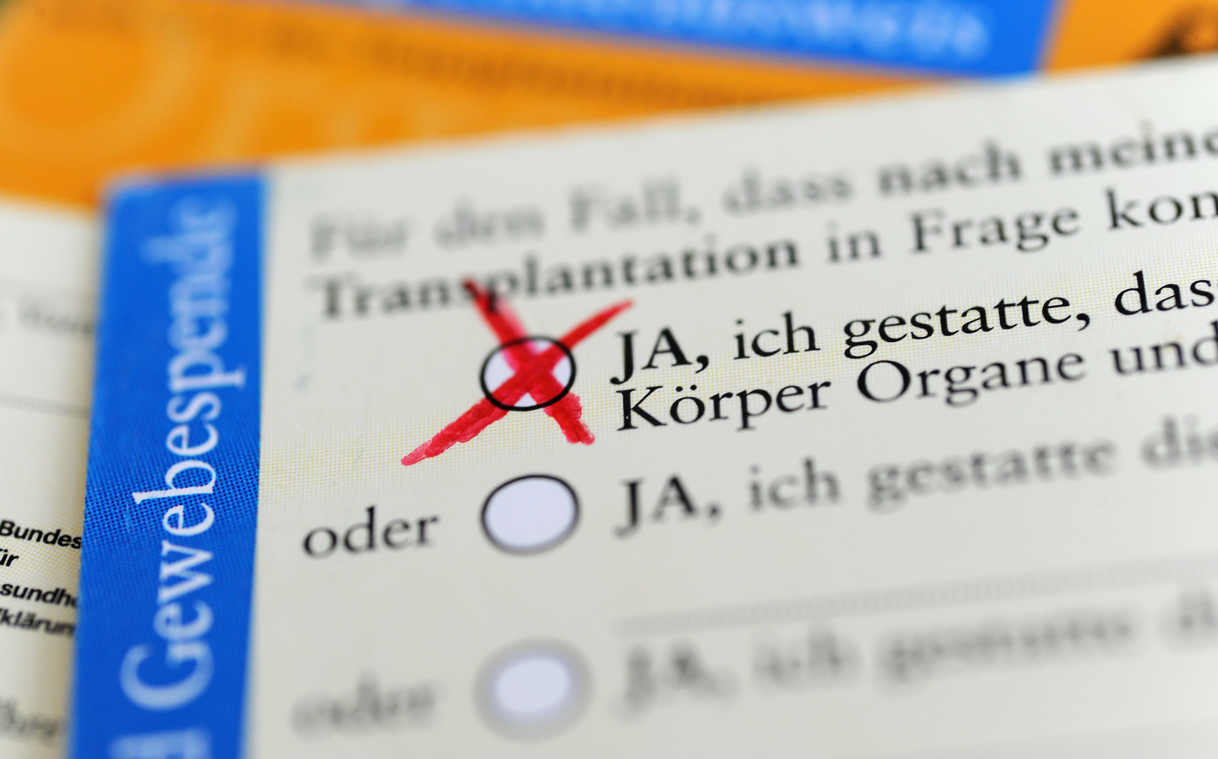 In Berlin wurden bislang mehr Organe gespendet als im vergangenen Jahr