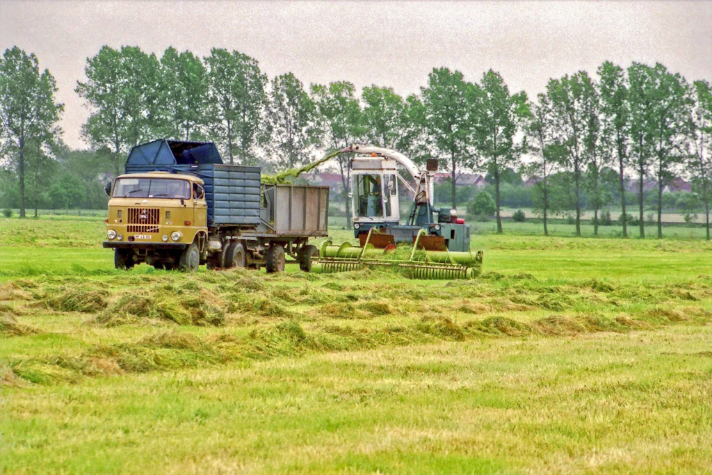 Zu DDR-Zeiten waren Hunderttausende in den LPGs organisiert: Nach der Wende wurden viele dieser Betriebe abgewickelt. (Archivbild)