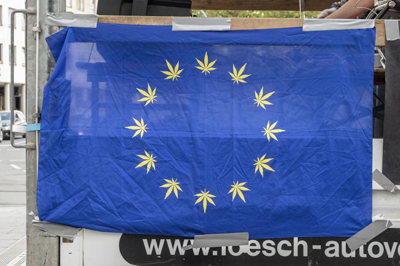 Mary Jane Berlin 2026: Vom Kifferfestival zu Europas größter