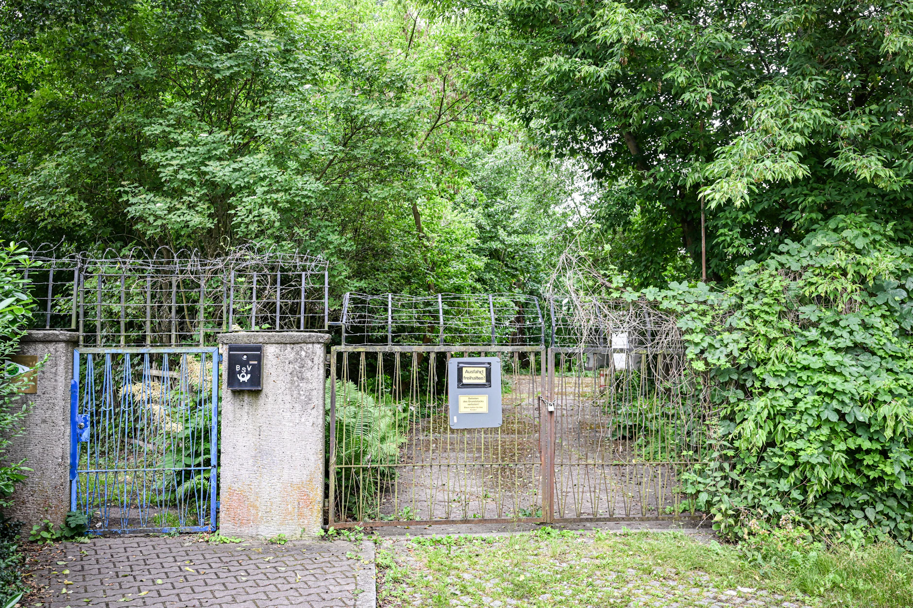 Zugang abgesperrt: Ein verwachsenes Tor führt auf die Insel Müggelwerder im Müggelsee, die der Bund trotz Bauverbot verkaufen will.