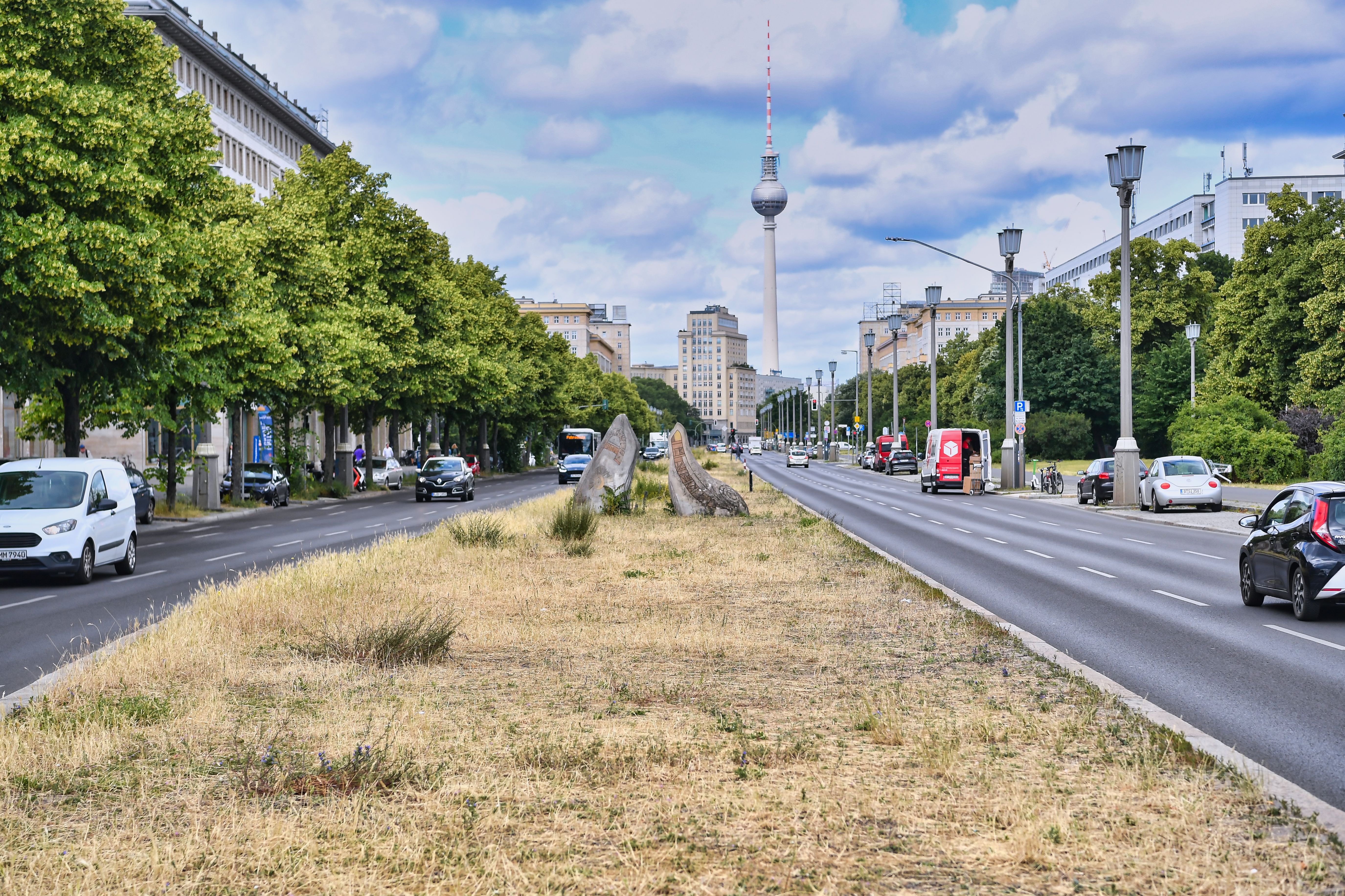 Verdorrter Grünstreifen auf der Karl-Marx-Allee: Der Bezirk sagt, das soll so sein
