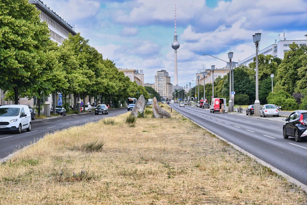 Verheerende Mäuse-Gerste: Diese Pflanze attackiert nicht nur die Berliner Grünflächen