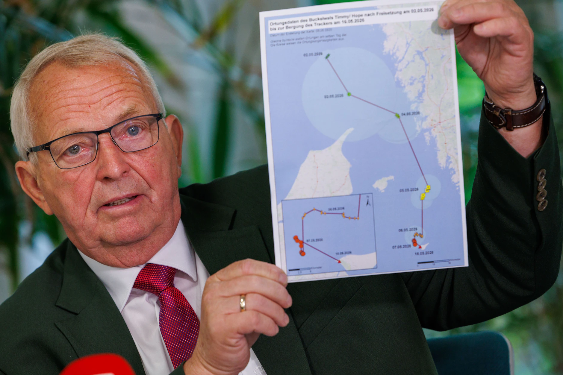 Till Backhaus (SPD), Agrar-, Umwelt- und Klimaschutzminister von Mecklenburg-Vorpommern, zeigt bei einer Pressekonferenz eine Karte mit Bewegungslinien des Buckelwals.