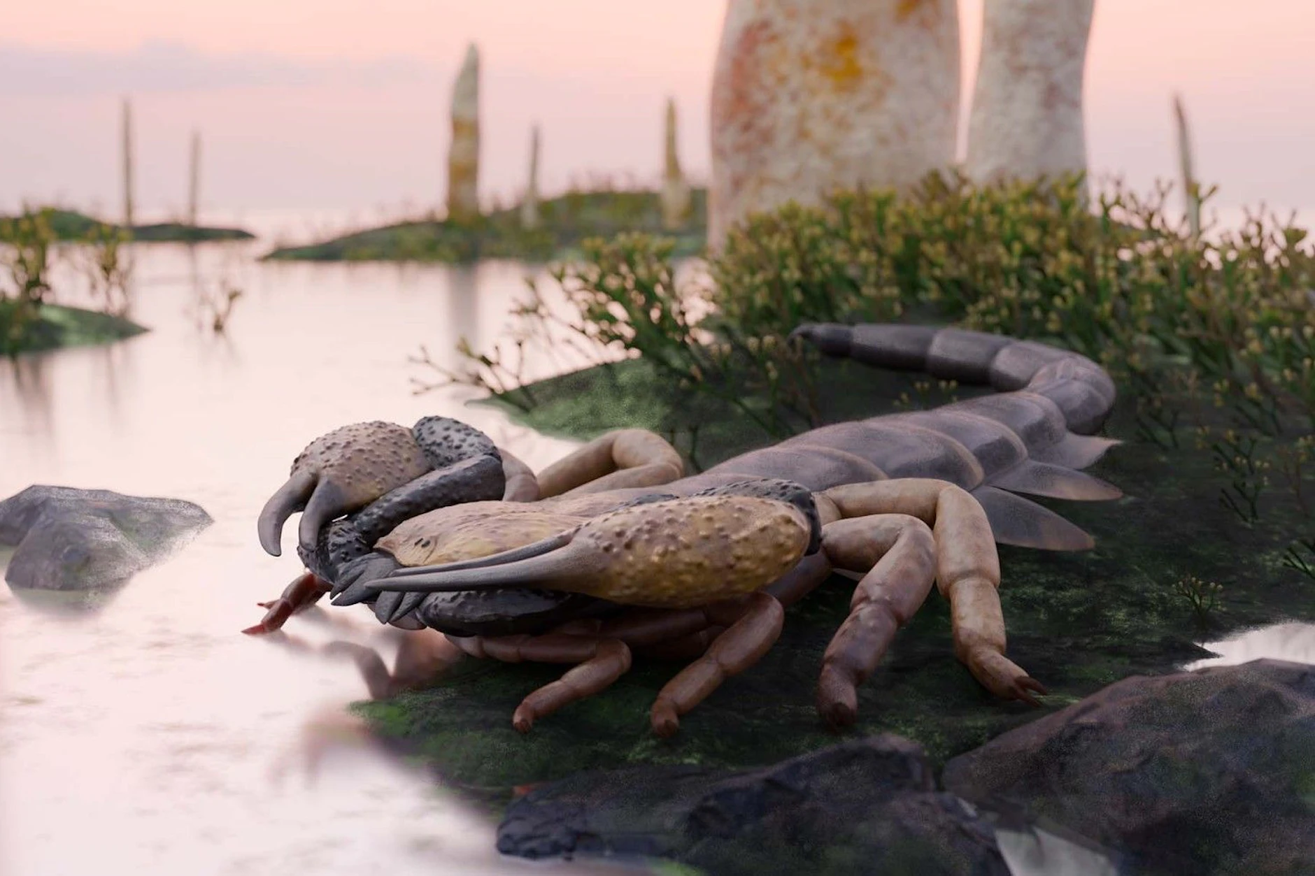 Mega-Skorpion entdeckt: Er war so groà wie ein BaseballschlÀger!