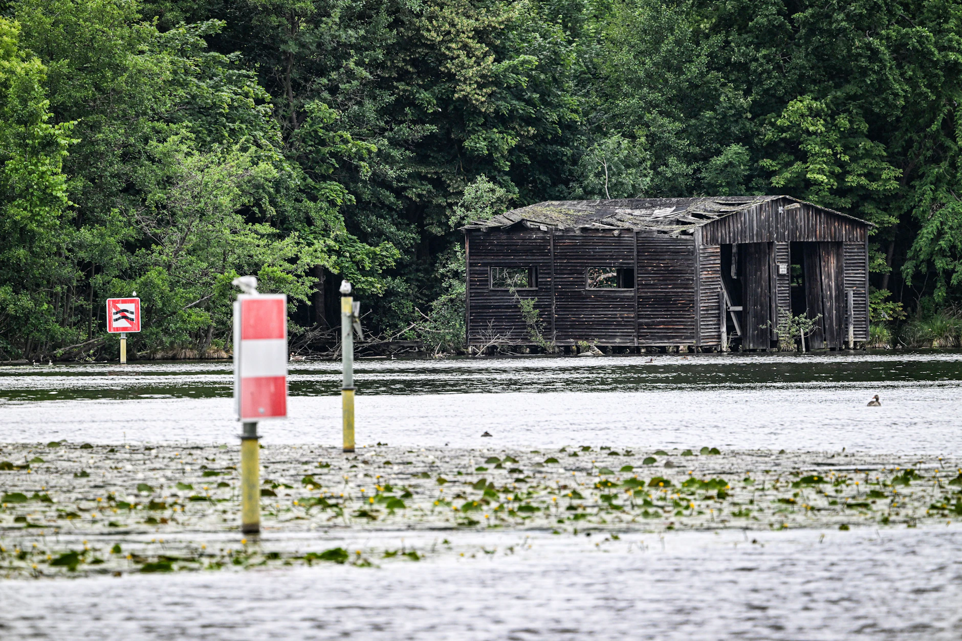 Die Insel Müggelwerder im Müggelsee: Eine verlassene Hütte erinnert an die bewegte Vergangenheit – jetzt will der Bund das geschützte Areal verkaufen.