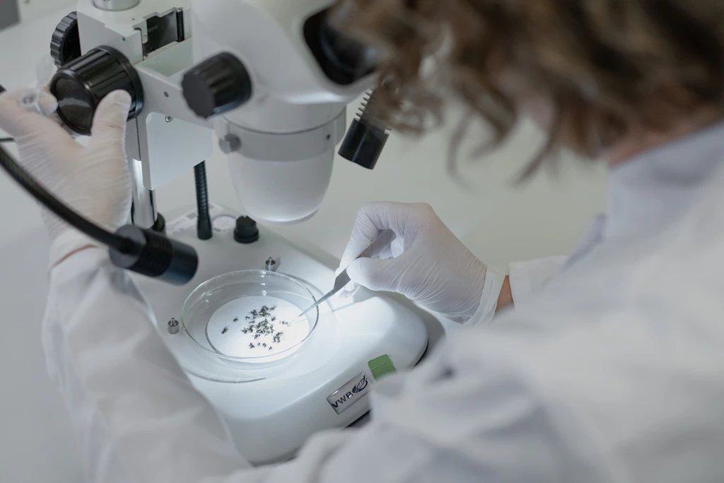 RKI warnt: West-Nil-Virus breitet sich in Berlin und Ostdeutschland aus