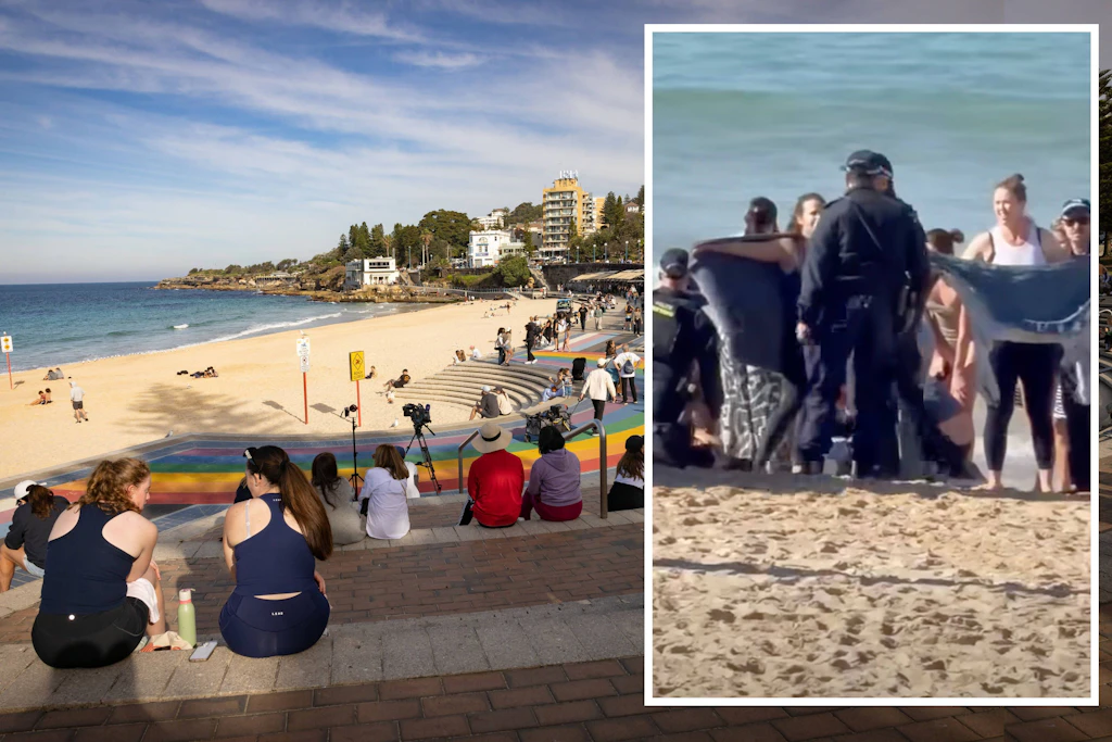 Nach dem Haiangriff überwachen Sicherheitskräfte den Coogee Beach und sprechen mit Strandbesuchern.