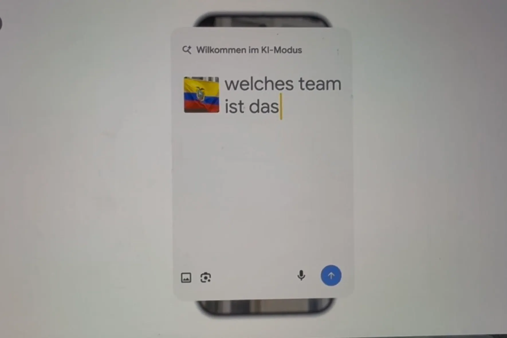 Eine Frau fügt bei Google ein Bild der Ecuador-Flagge ein und fragt, welches Team das ist.
