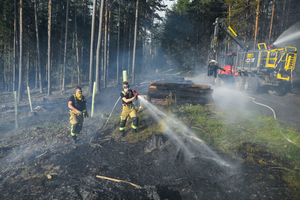 Im Juli 2025 hatte die Feuerwehr in Thüringen mit einem großflächigen Brand im Landkreis Saalfeld-Rudolstadt zu kämpfen.