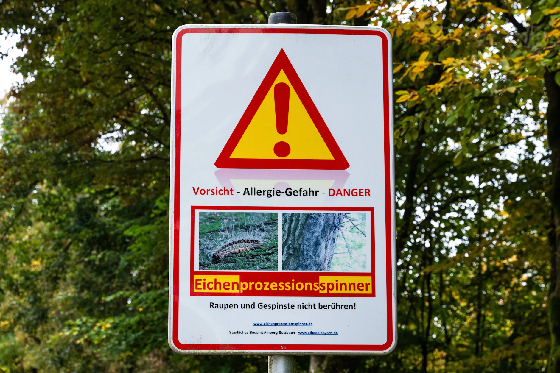 Schilder warnen in der ganzen Stadt vor den Eichenprozessionsspinnern. Doch das reicht nicht als Maßnahme (Symbolbild).