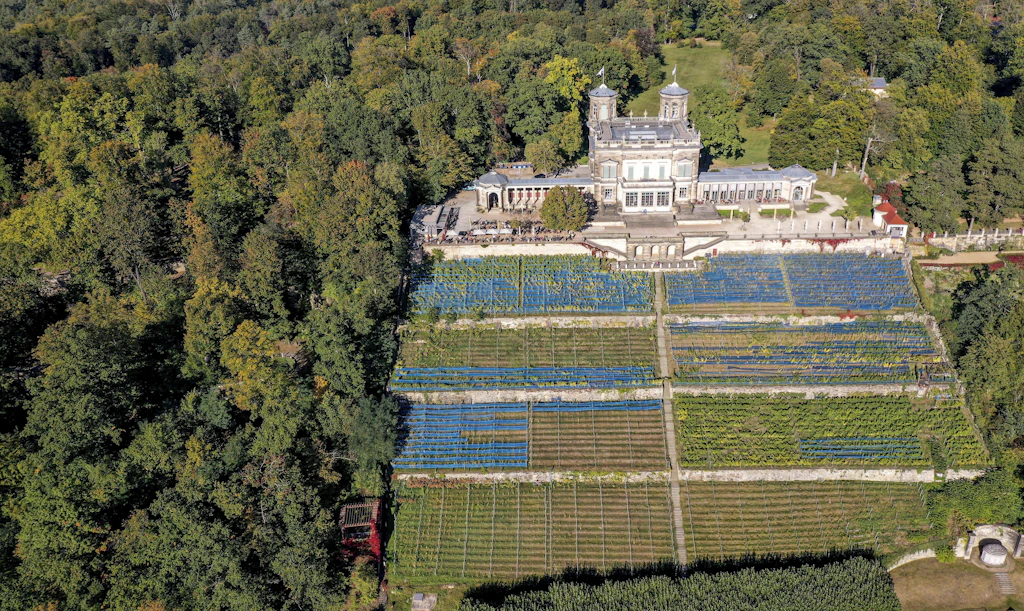 Lingnerschloss in Dresden: Investoren wollen historisches Gebäude übernehmen
