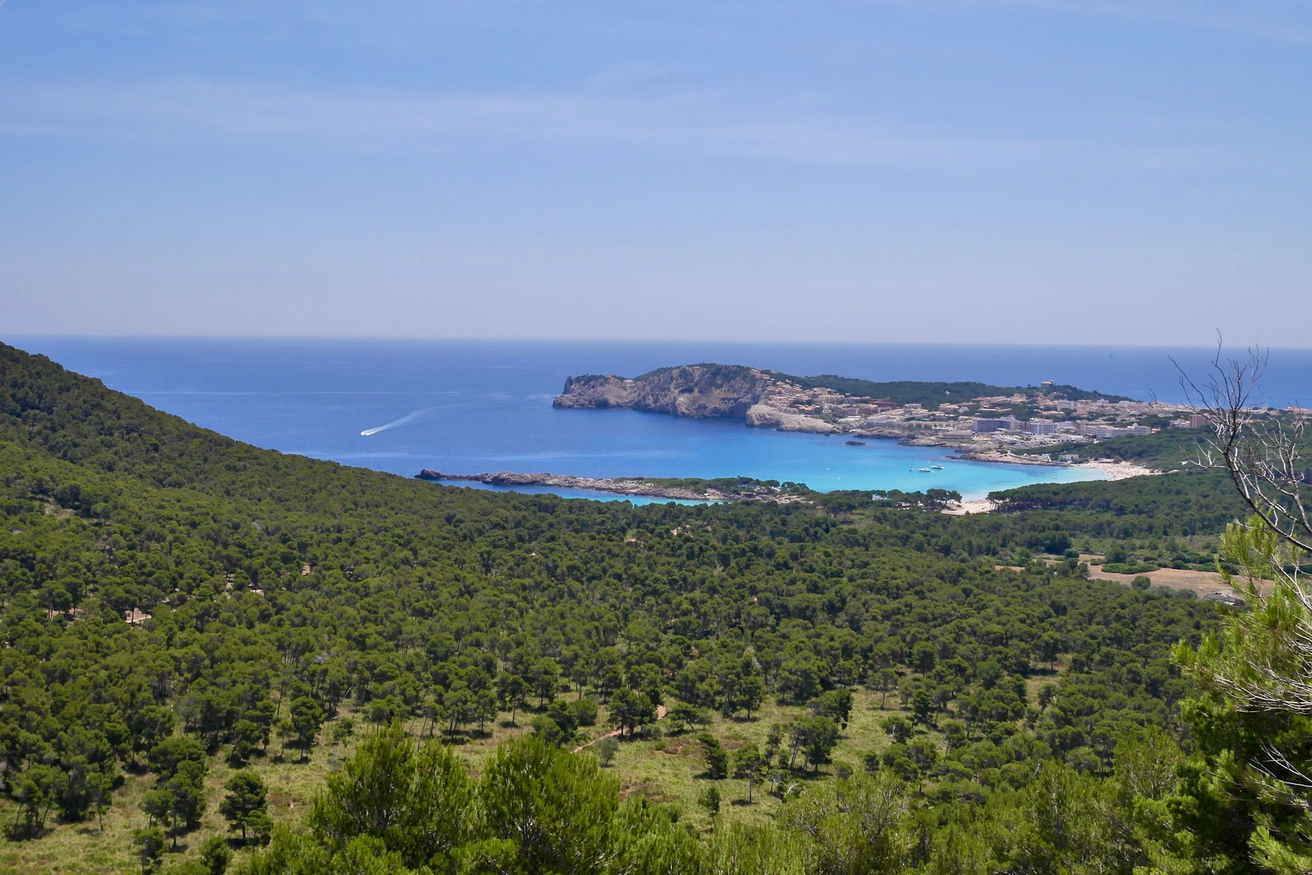 Eingebettet in Pinienwälder und Hügel: Die Cala Mesquida im Nordosten Mallorcas gilt laut Ranking als schönster Strand Spaniens.
