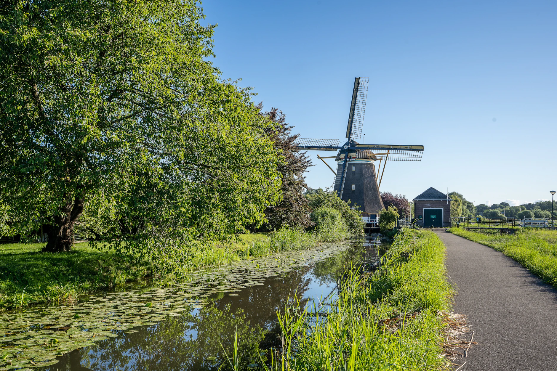 Ist das Leben in der Niederlande besser? Für Rentner scheint das zumindest der Fall zu sein.