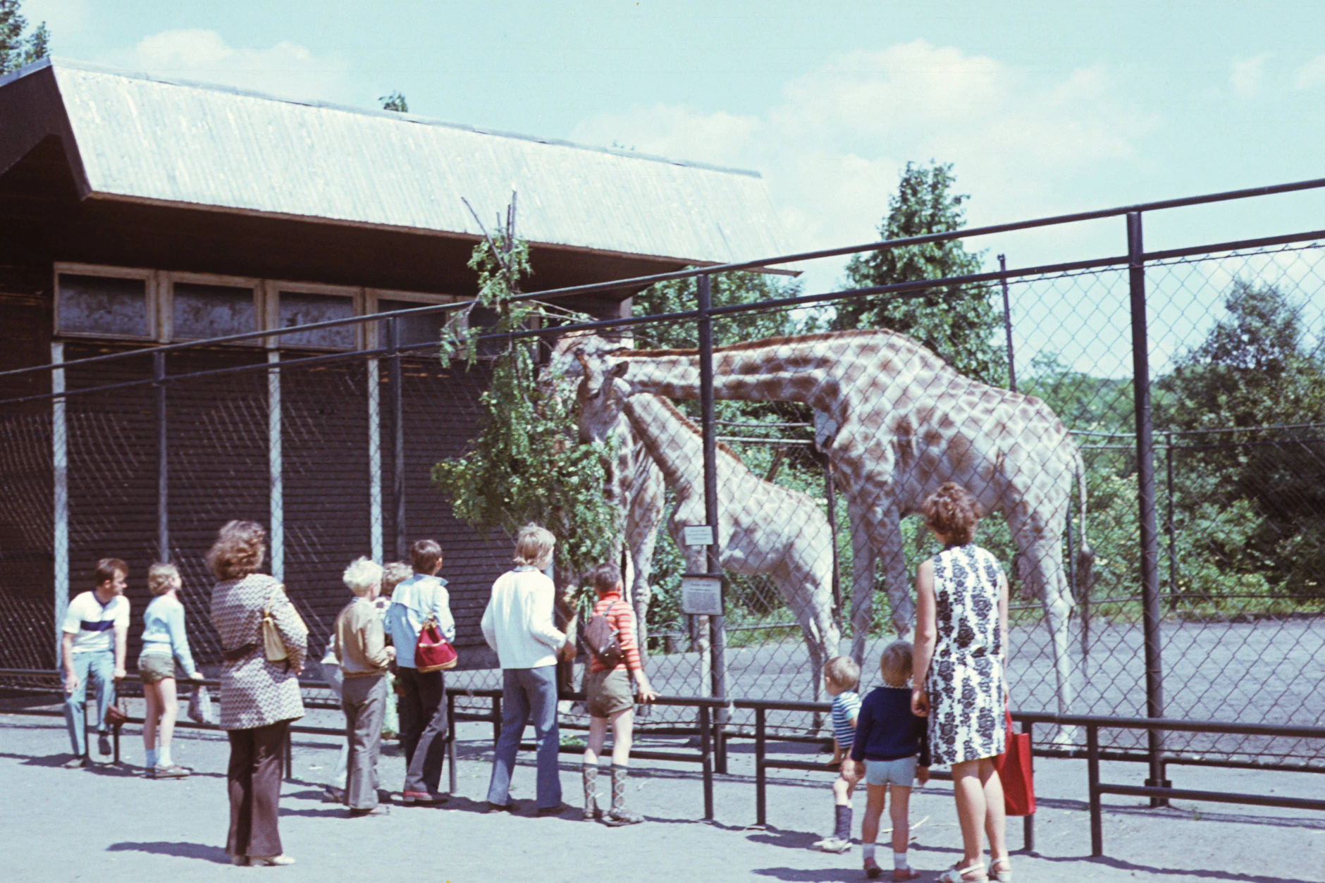 Im Tierpark in Berlin freuten sich nur Tiere aus wärmeren Gefilden über die Hitzewelle.