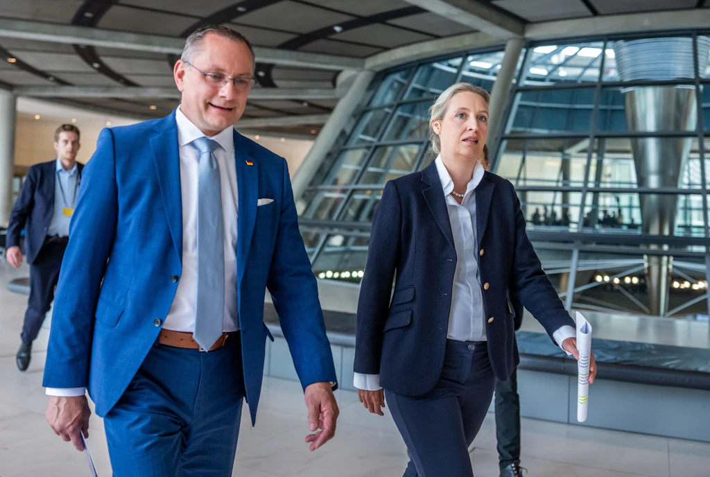 Zwei Tage „Demokratiekongress“ mit der AfD