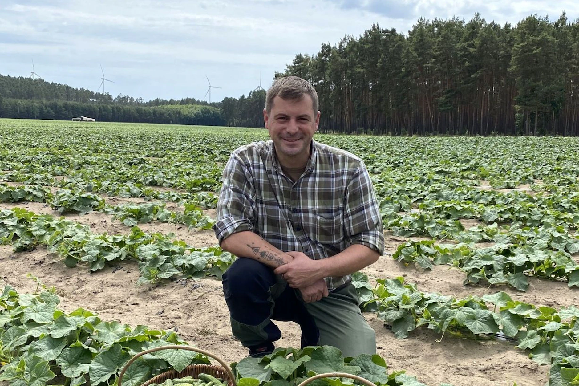 Christoph Frehn baut Bio-Gurken im Spreewald an.