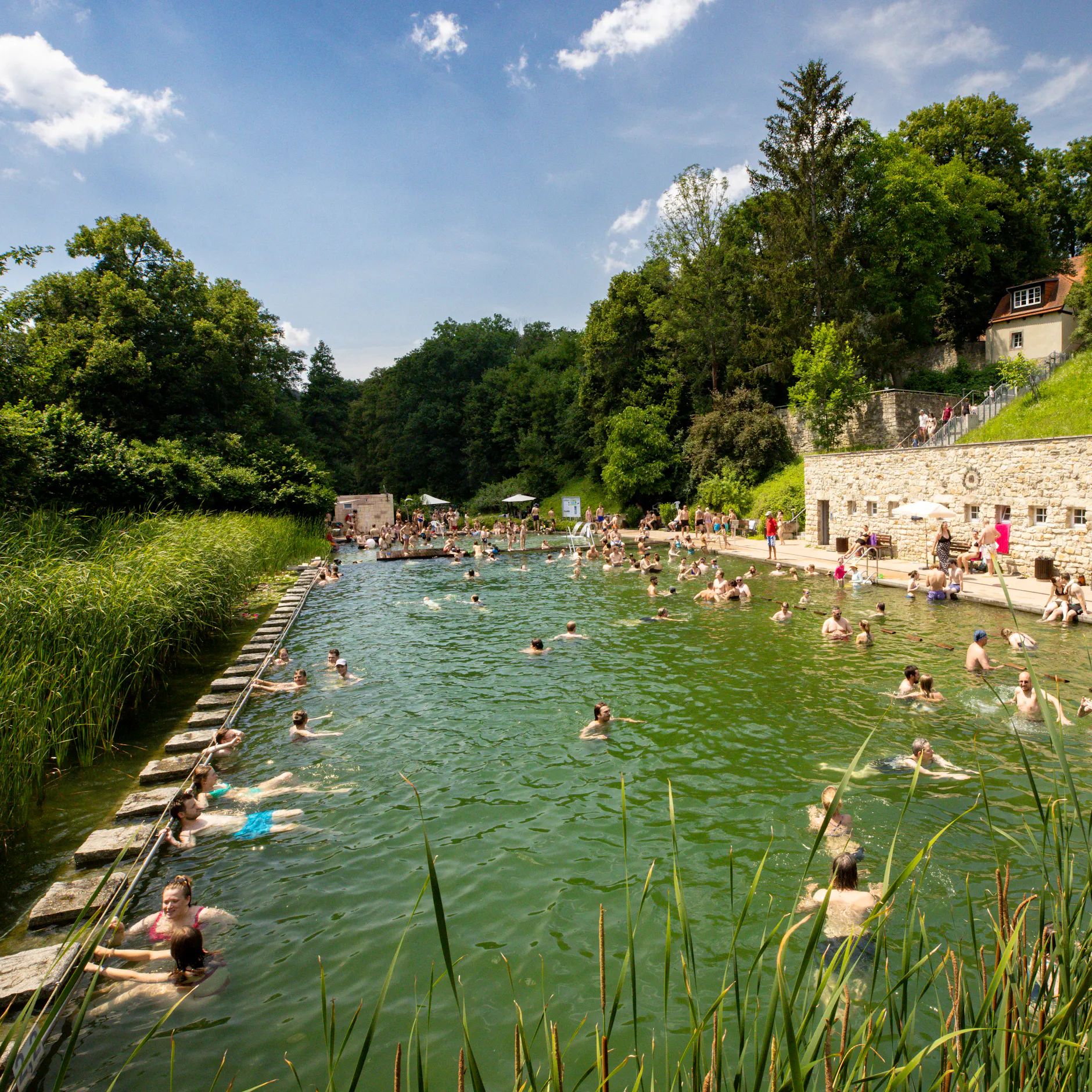 Image - Bestes Freibad Deutschlands liegt im Osten